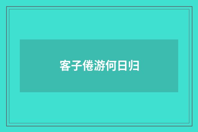 客子倦游何日归