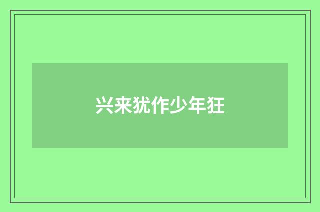 兴来犹作少年狂