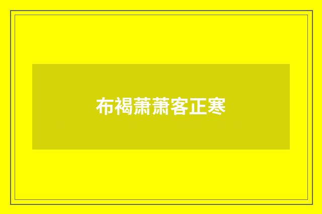 布褐萧萧客正寒