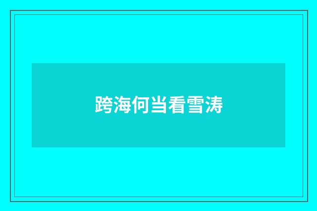 跨海何当看雪涛