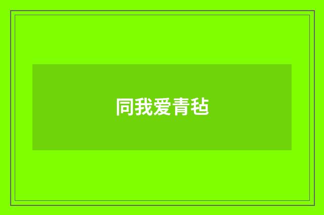 同我爱青毡