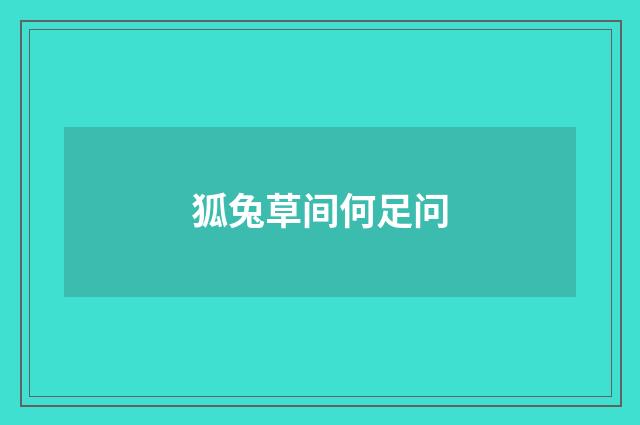 狐兔草间何足问