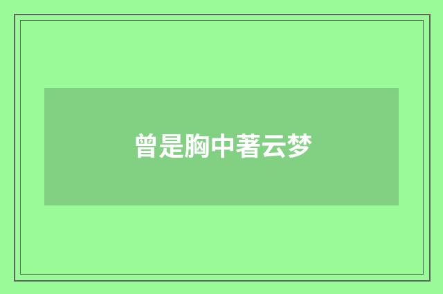 曾是胸中著云梦