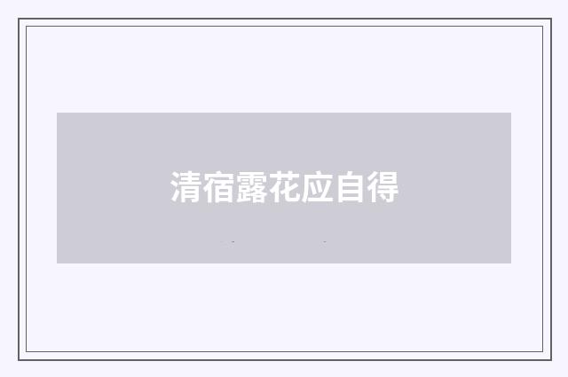 清宿露花应自得