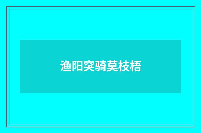 渔阳突骑莫枝梧