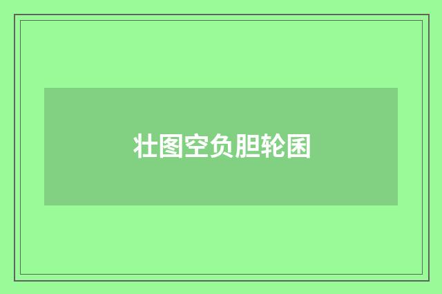 壮图空负胆轮囷