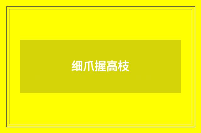 细爪握高枝