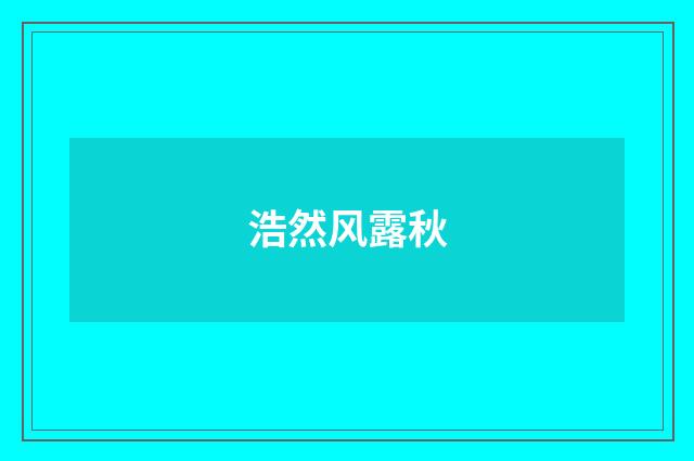 浩然风露秋
