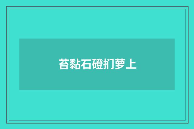 苔黏石磴扪萝上