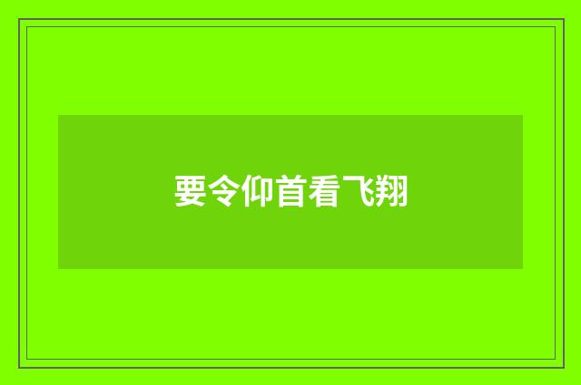 要令仰首看飞翔