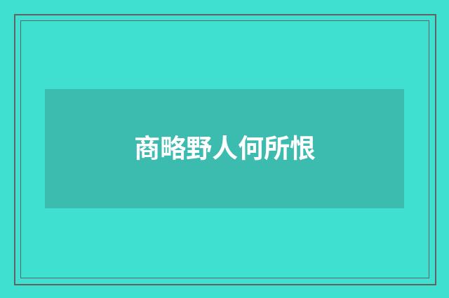 商略野人何所恨