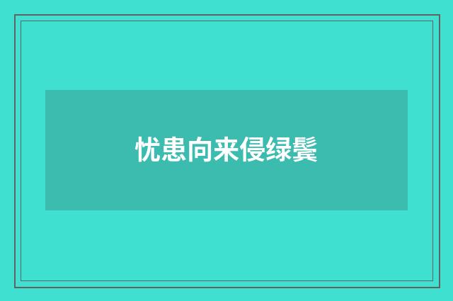 忧患向来侵绿鬓