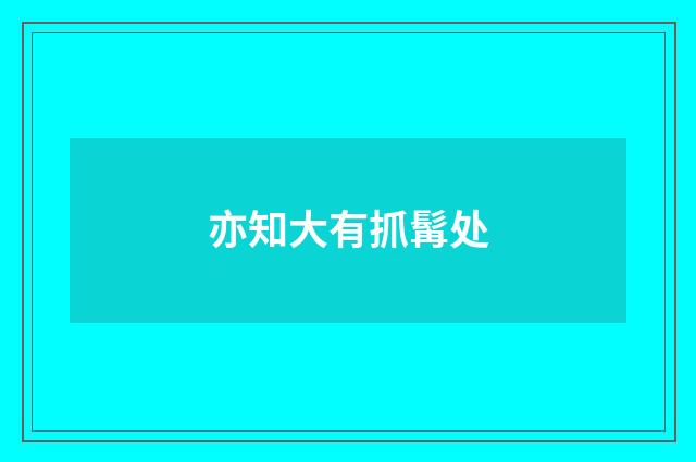 亦知大有抓髯处