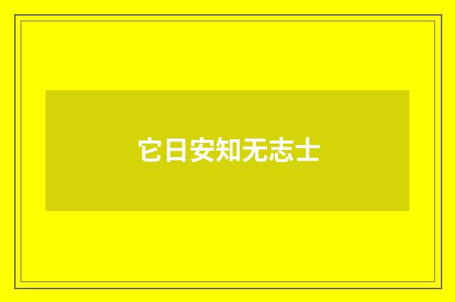 它日安知无志士