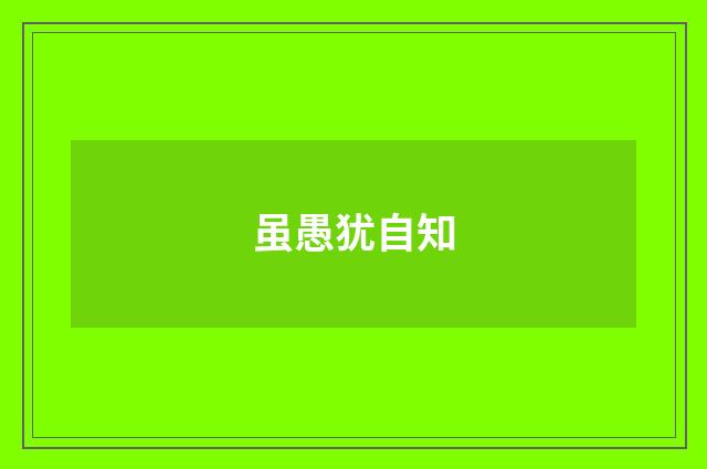 虽愚犹自知