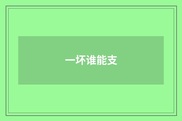 一坏谁能支