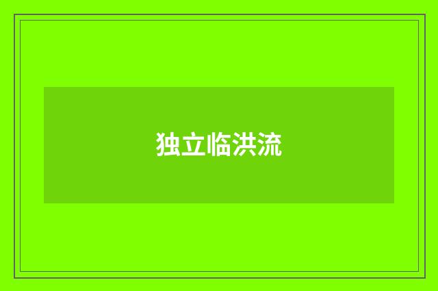 独立临洪流