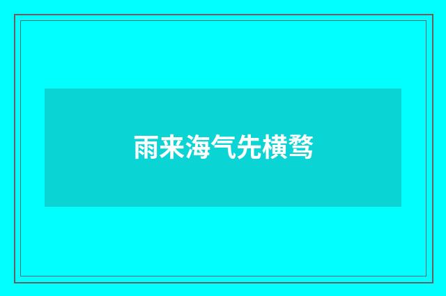 雨来海气先横骛