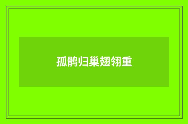孤鹘归巢翅翎重