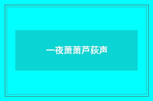 一夜萧萧芦荻声