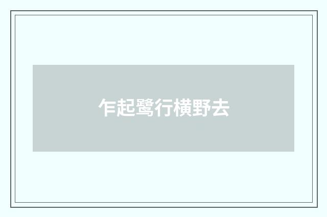 乍起鹭行横野去