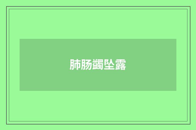 肺肠蠲坠露