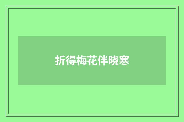 折得梅花伴晓寒