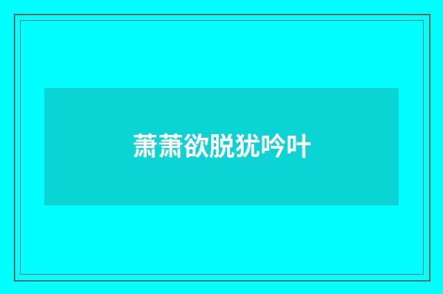 萧萧欲脱犹吟叶