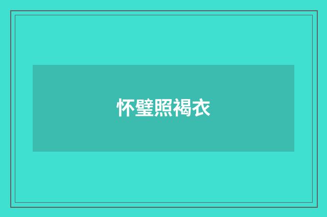 怀璧照褐衣