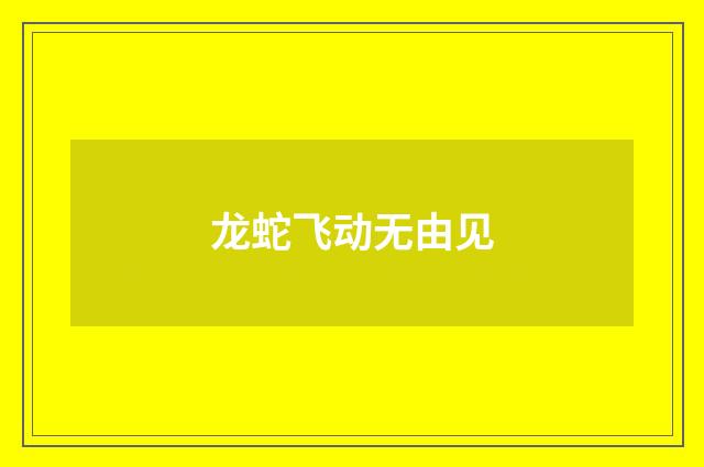 龙蛇飞动无由见