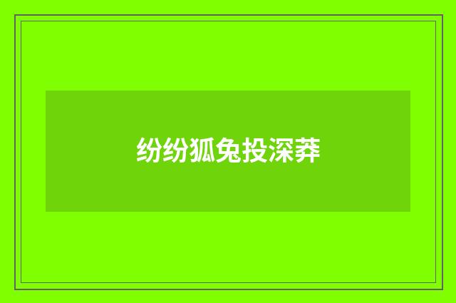 纷纷狐兔投深莽