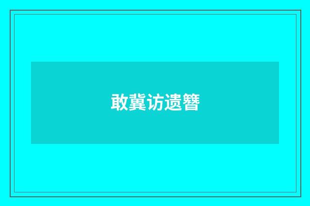 敢冀访遗簪