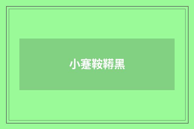 小蹇鞍鞯黑