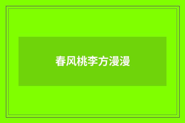 春风桃李方漫漫