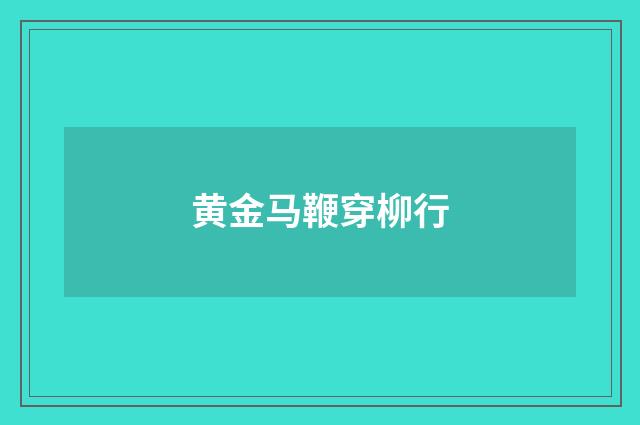 黄金马鞭穿柳行