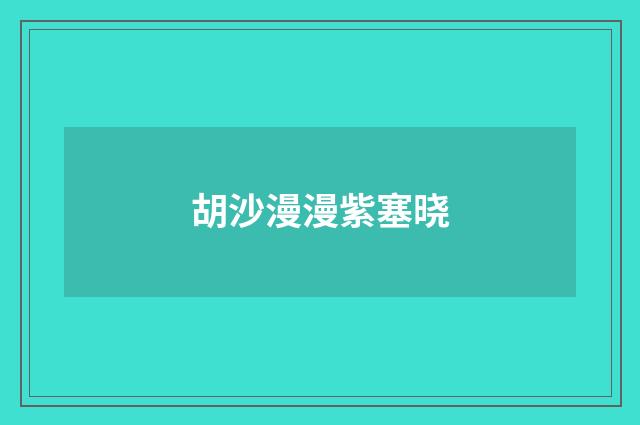 胡沙漫漫紫塞晓