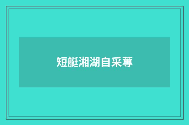 短艇湘湖自采蓴