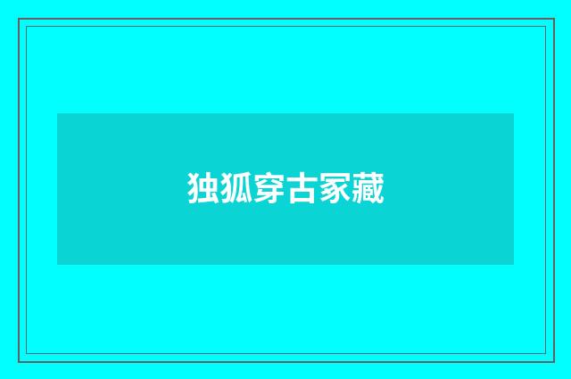 独狐穿古冢藏