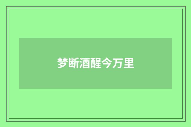 梦断酒醒今万里