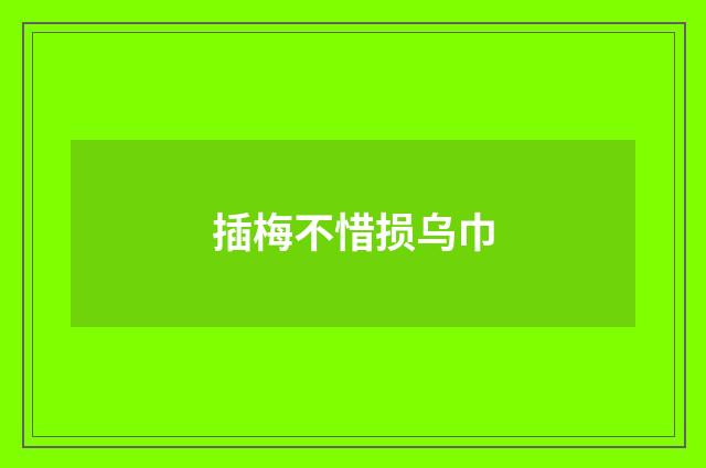 插梅不惜损乌巾