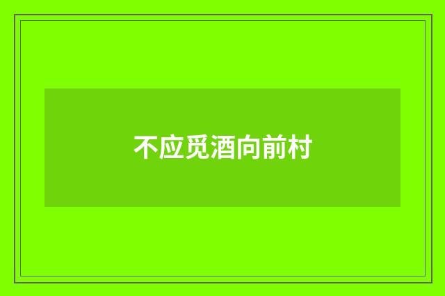 不应觅酒向前村