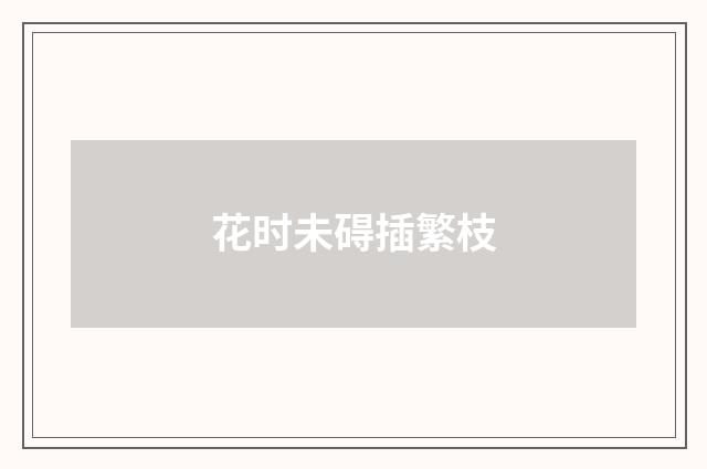 花时未碍插繁枝