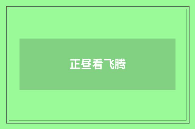正昼看飞腾