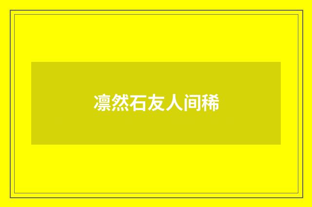 凛然石友人间稀