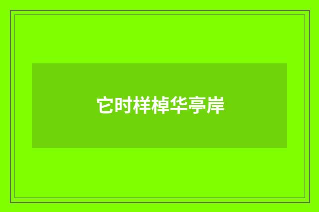 它时样棹华亭岸