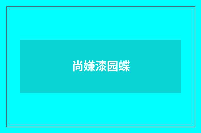 尚嫌漆园蝶