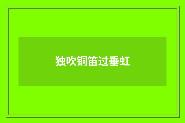 独吹铜笛过垂虹