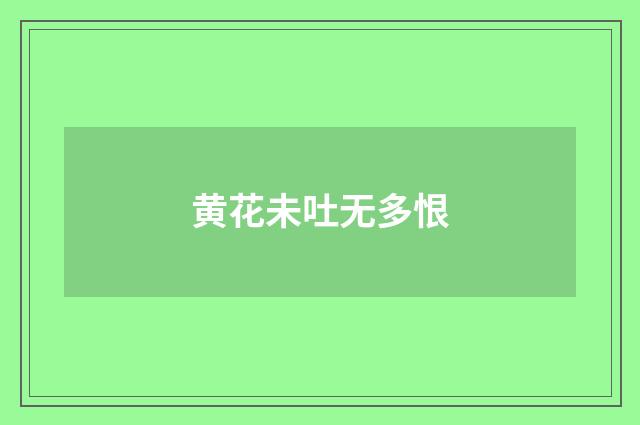 黄花未吐无多恨
