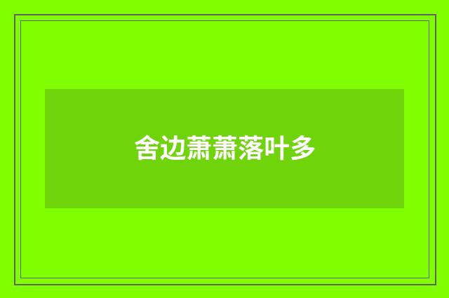 舍边萧萧落叶多