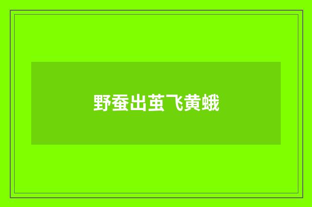 野蚕出茧飞黄蛾